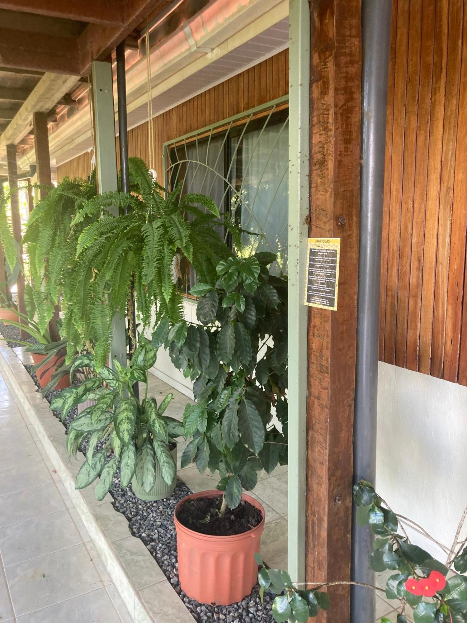 Casa Oh - Oceanview Guesthouse Uvita Exterior foto